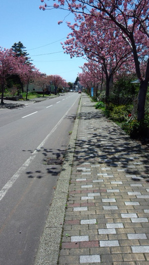 Tiz_160515_1