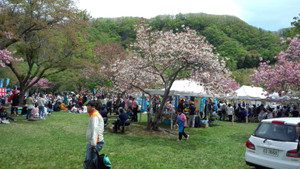 Tiz_160515_2