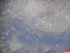 S20201115_21