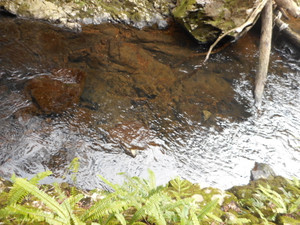 Materiyanotaki_3