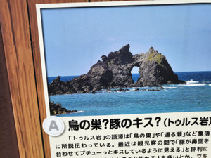 20220622_yamato_3