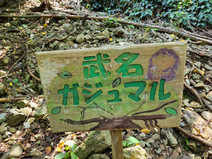 20220713_kakeroma_9