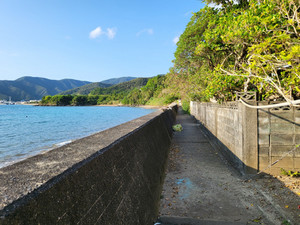 20220930_tonkyan2