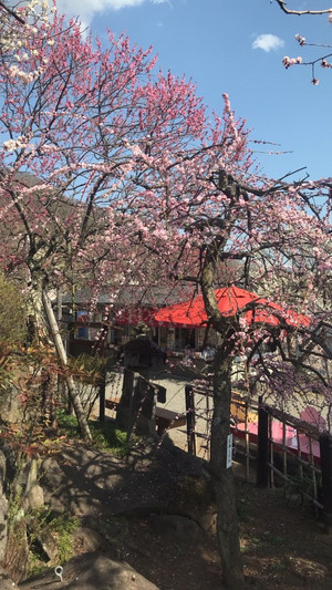 Etuko_6
