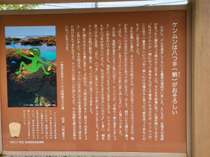 Kenmun_6