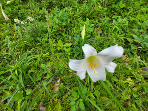 20230418_hana_2