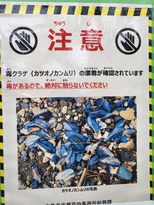 230519_yadorihama_1