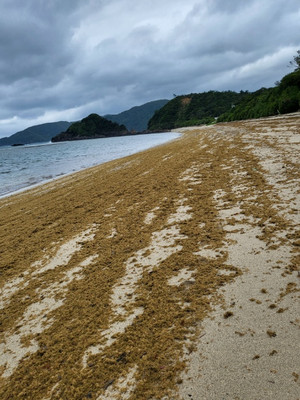 230519_yadorihama_2