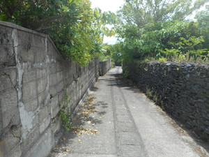 Yoro_250722_1