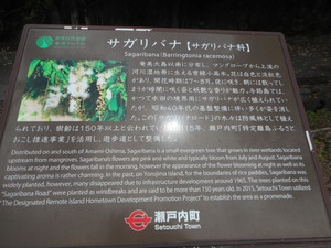 Yoro_250722_5