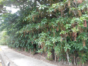 Yoro_250722_7