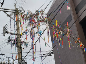 2050829_tanabata_4