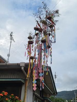 2050829_tanabata_7