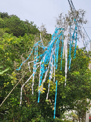 2050829_tanabata_8