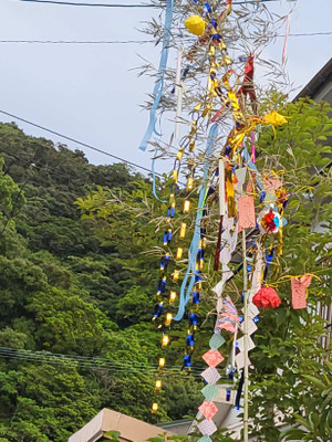 2050829_tanabata_9